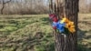 Місце розстрілу українських тероборонівців російськими військовими в Бузковому парку в Херсоні в березні 2022 року