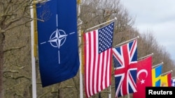 Steaguri ale NATO și ale țările membre afișate în fața Palatului Buckingham, înainte de cea de-a 75-a aniversare a semnării Tratatului Atlanticului de Nord, la Londra, Marea Britanie, 3 aprilie 2024.