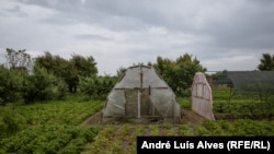  Фермерите в Приморске не престават да работят макар обстрела 