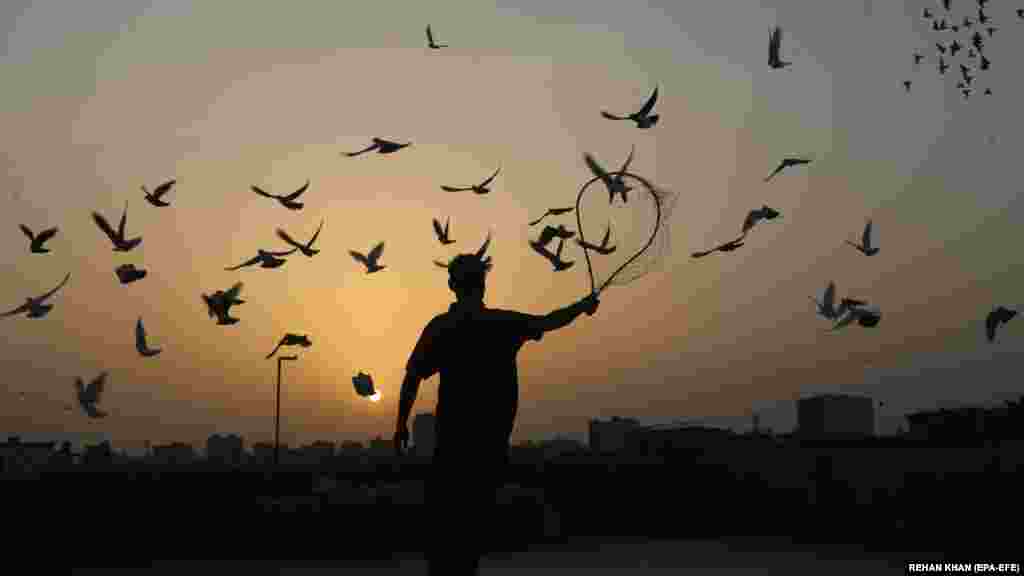 Zaljubljenik u utrke golubova promatra svoje ptice kako se hrane na krovu u Karačiju u Pakistanu, gdje se turniri održavaju dva puta godišnje.