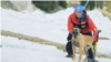 Mountain rescue dog getting trained by its owner and also mountain rescue guide. 