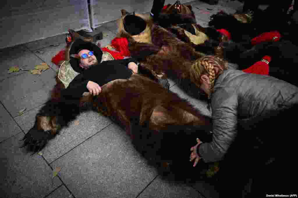 A man is helped into a bear costume during the festival. Romania boasts one of the world&#39;s largest bear populations and the animals were once captured and then trained by Roma people to &#39;dance&#39; on leashes in a tradition believed to drive bad spirits out of villages just before the new year. Today, people wearing bearskins are used to fulfil the same role.&nbsp;