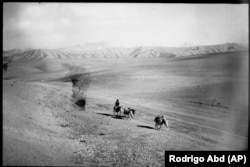 An Afghan nomad, known as a Kuchi, leads his donkeys in Bamiyan Province on June 17.