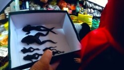 Žabe u centralnoj Aziji ugrožava krivolov u Kirgistanu