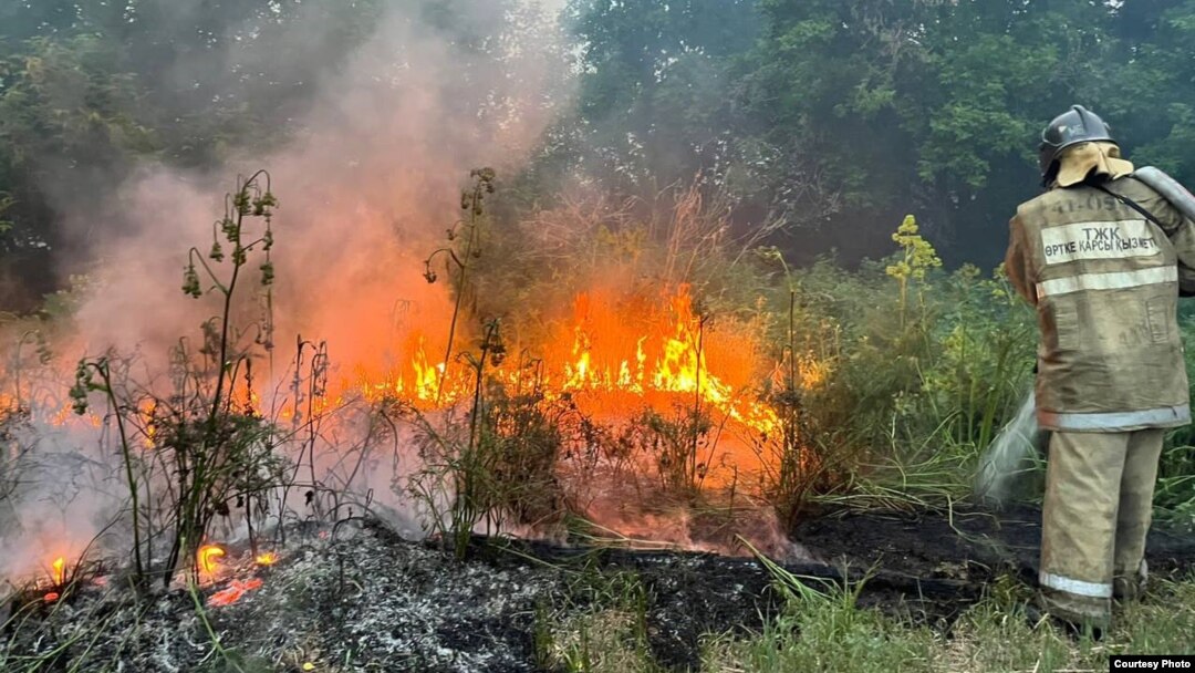 Viva Italia порно фильмін қараңыз Hotkinkyjo жалпыға қолжетімді онлайн