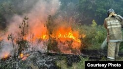 Лесной пожар в Абайской области. 9 июня 2023 года. Фото пресс-службы МЧС Казахстана

