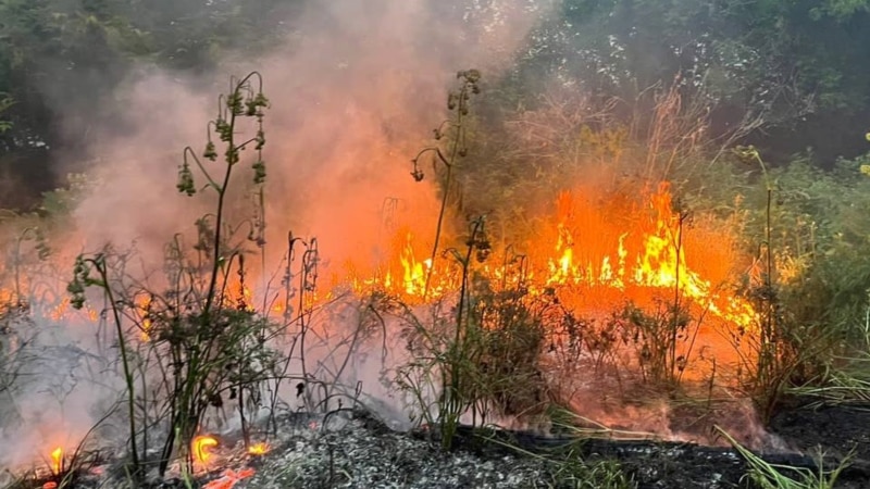 Россия: в Туве ввели режим ЧС из-за лесных пожаров