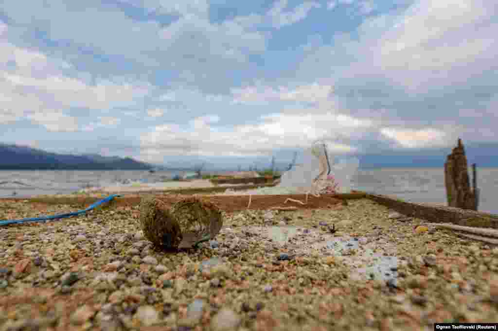 Dragan Arsovski, a biologist from the Skopje-based NGO Macedonian Geological Society, said the lake&#39;s level has risen and fallen over the centuries and that nature has survived. He said people living around the lake are not adapting to the new situation.