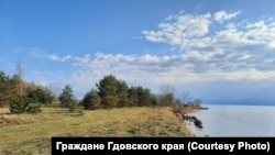 Берег Чудского озера в Гдовском районе