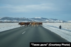 Дорога из Барнаула в село Таштып. Фото: Виль Равилов для ТД