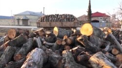 Qubada alma bağları azalır