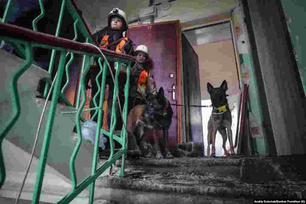 These dogs and their two handlers belong to Antares, a canine search-and-rescue volunteer group based in Pavlohrad, near Dnipro in eastern Ukraine. &nbsp;