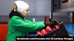 Newsmaker.md scrie că în anul 2022 exportul de produse moldovenești către Federația Rusă a scăzut cu 31% față de anul precedent