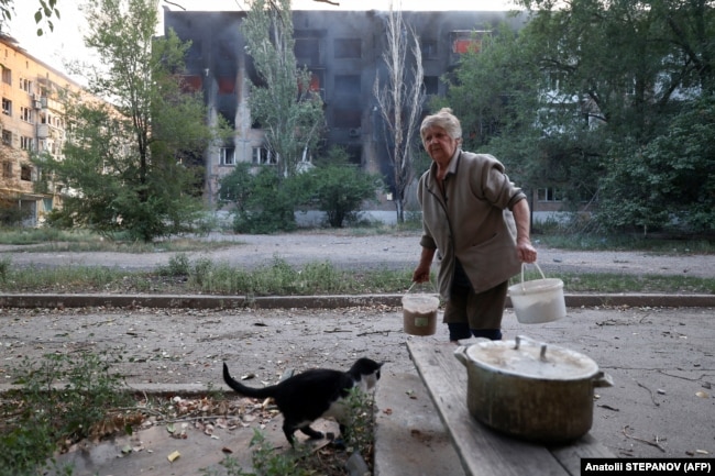 Banorja vendëse, Tetyana, 72-vjeçare, i ushqen macet përballë një ndërtese banimi pas bombardimeve në qytetin Tertsk, Donjeck, Ukrainë, 29 korrik 2024.