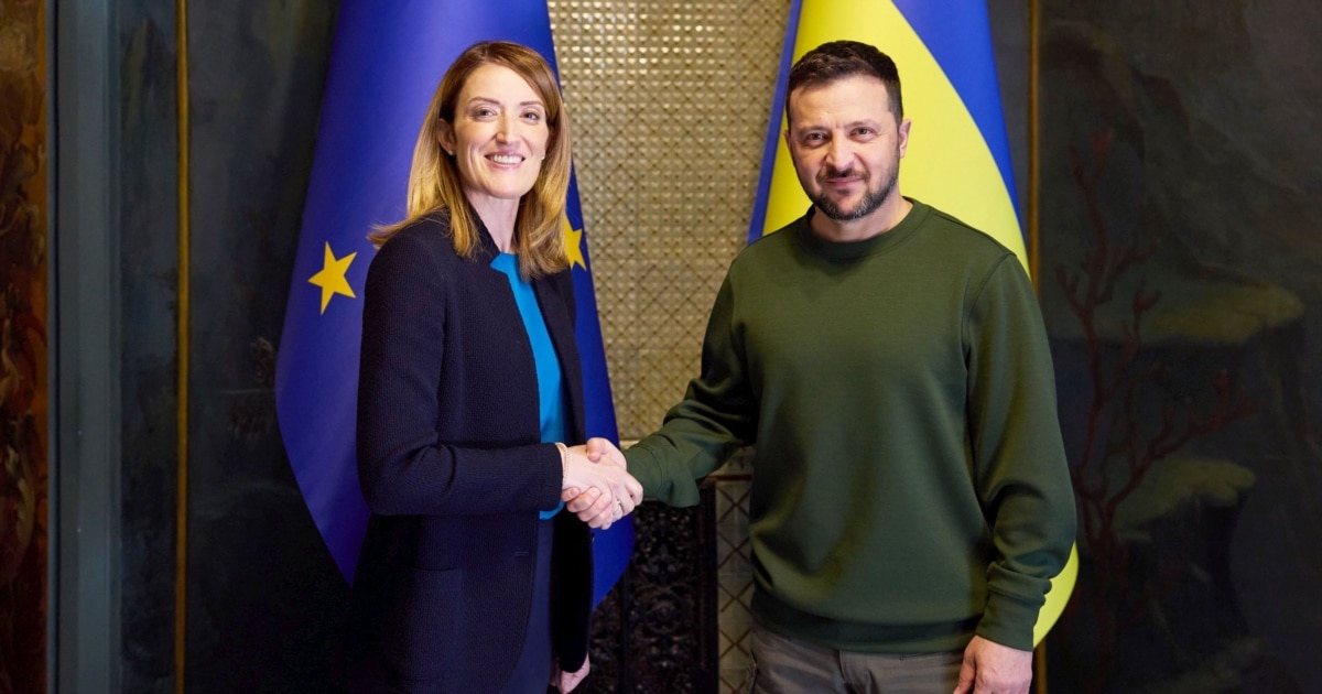 Зеленський і Мецола обговорили євроінтеграцію та активи росії