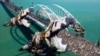 Керченский мост и тяжелая техника, фотоколлаж