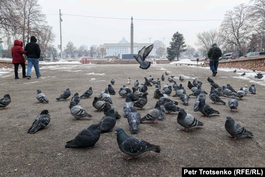 Стритизатормен секс видео