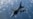 Норвегия в этом году передаст Украине истребители F-16 – правительство страны
