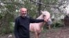 'Grandpa' Flees Nagorno-Karabakh On Horseback GRAB
