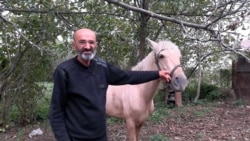 'Grandpa' Flees Nagorno-Karabakh On Horseback