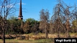 Parcul IOR a fost incendiat de mai multe ori în 2023. Terenul a fost retrocedat în trecut unei femei de 88 de ani. 