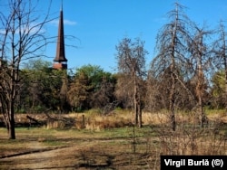 O bucată din parcul IOR care este lăsată în paragină de 20 de ani.