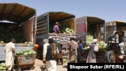 بازار عمدهٔ فروش تربوز در هرات 