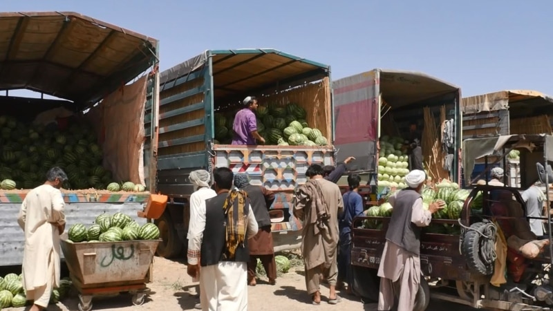 احمدي: د بېوزلۍ له امله په افغانستان او پاکستان دواړو کې د مېوو او سبزیجاتو بازار خراب شوی