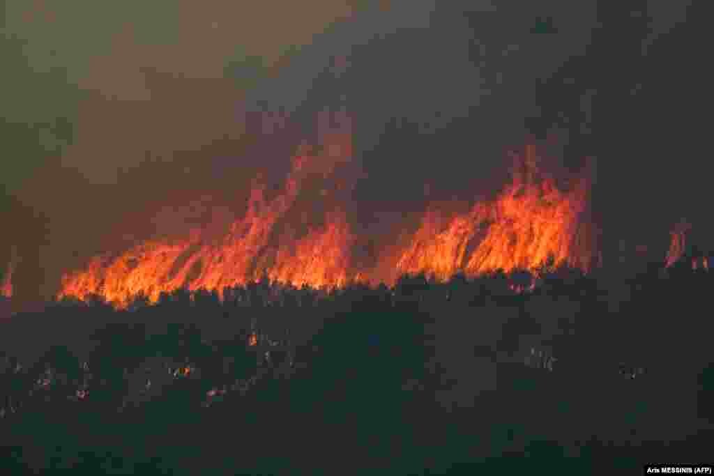 Pisha që digjen gjatë një zjarri të egër në Agia Sotira, pranë Athinës, më 18 korrik 2023.