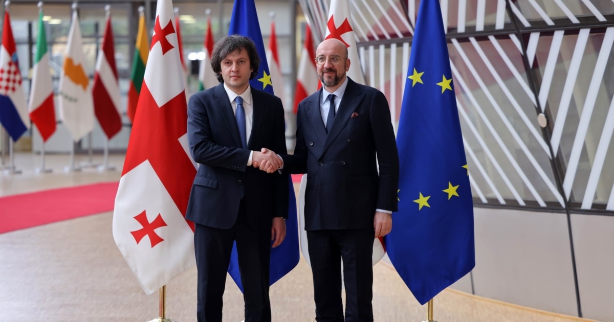 კონსტიტუციის დღეს კობახიძემ ელჩები „კონსტიტუციის შეურაცხყოფის" განზრახვაში დაადანაშაულა