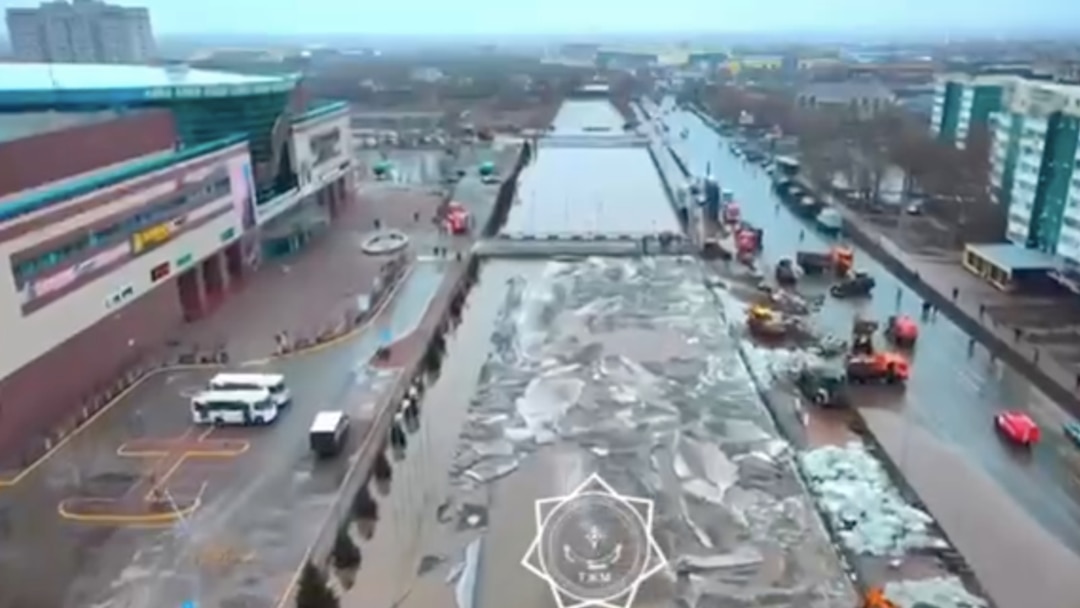 Судак - жыныстық қатынас тауы.