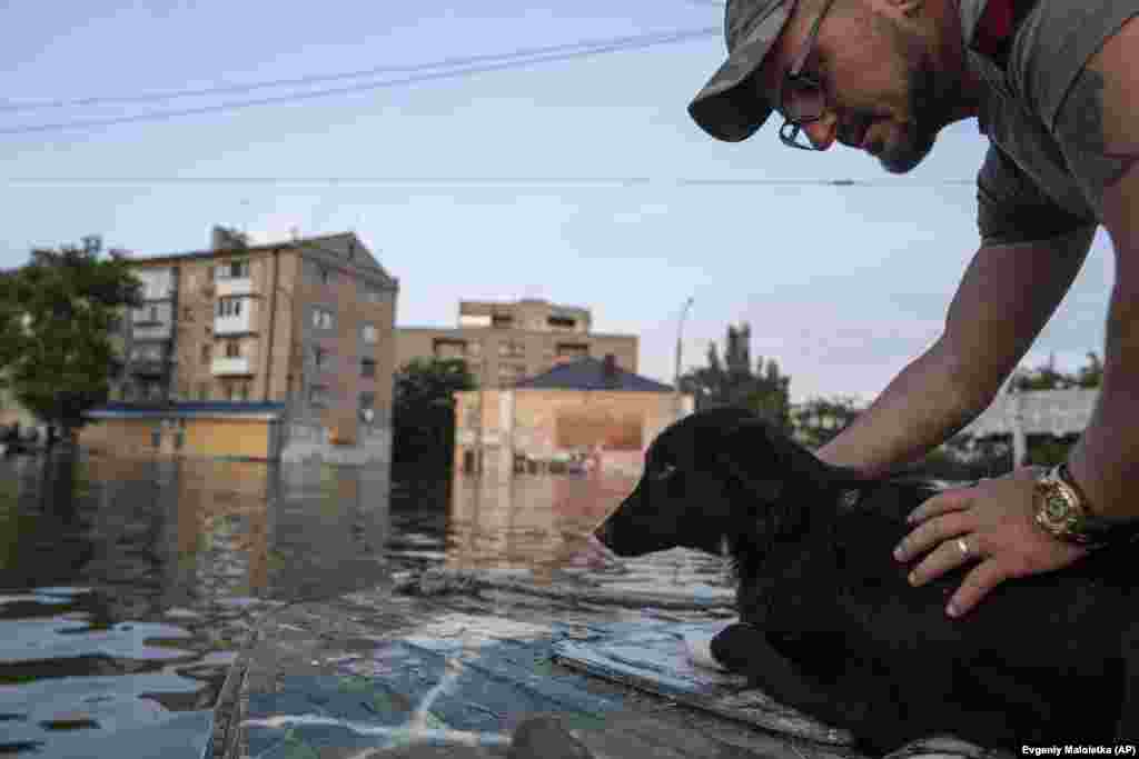A dog is ferried across floodwaters in Kherson city.