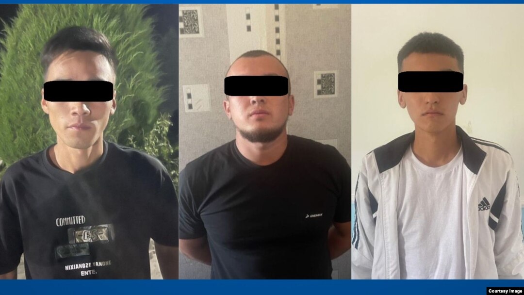 Сүрөт ИИМден алынды.