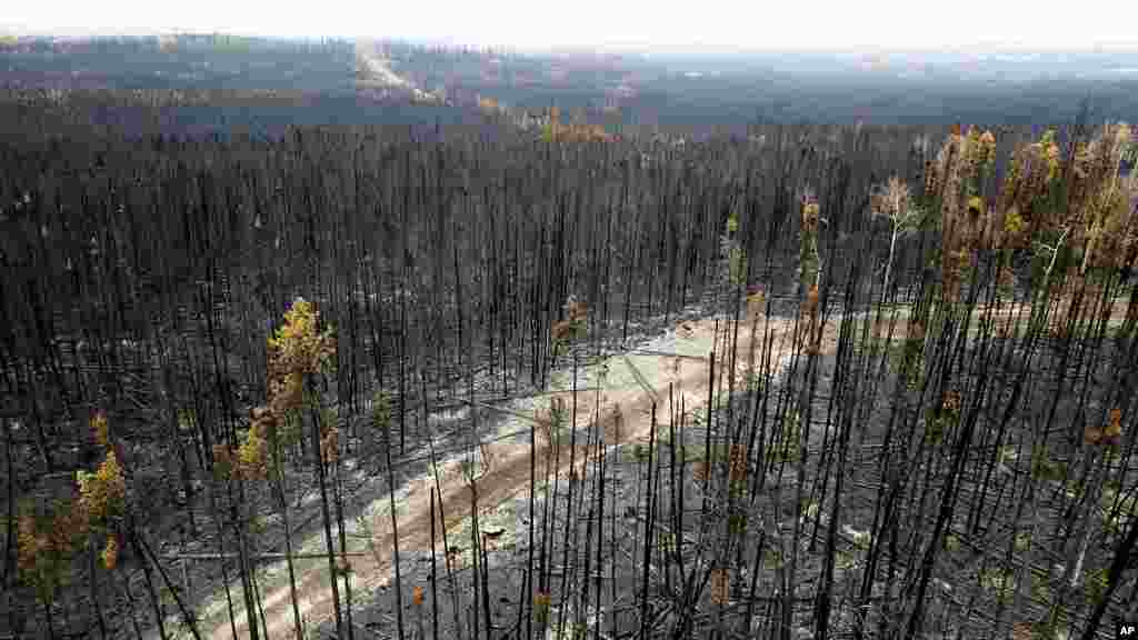 A Donnie Creek, a kanadai&nbsp;Brit Columbia egyik eddigi legnagyobb erdőtüze több mint ötszázötvenezer hektáron égett július első napjaiban. A felvétel 2023. július 2-án készült