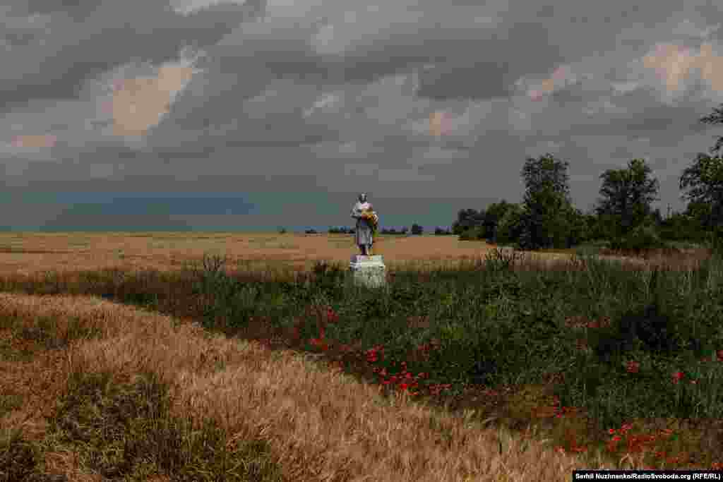 Безкраї поля, степи і польові квіти Запоріжжя. Гаряче літо 2023 року