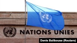 Отделение Организации Объединённых Наций в Женеве