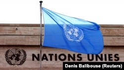 Флаг ООН на здании. Иллюстративное фото