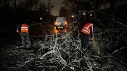 Гололед в Ростове-на-Дону. Фото: телеграм-канал главы администрации Алексея Логвиненко