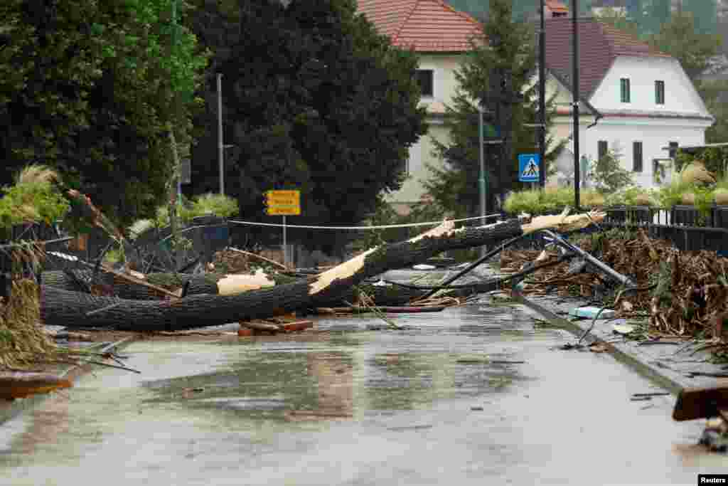 Drveće na mostu u Medvodama, 4. avgust 2023.