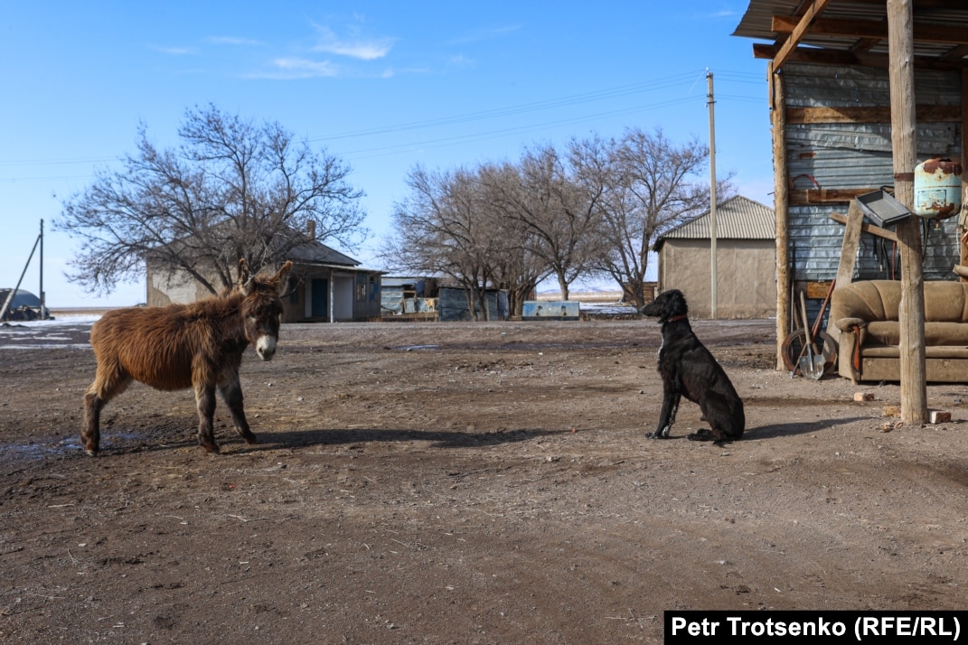 Бөлмедегі секс бар түрік қонақ үйлері