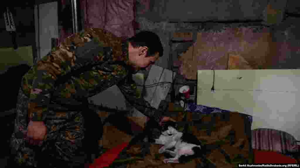 Кіт Василь служить разом з українськими військовими. Його основна робота&nbsp;&ndash; оберігати ліжко