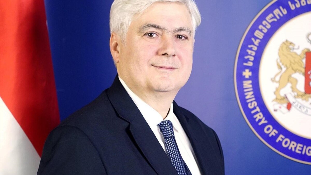 Опытный грузинский дипломат объявил об уходе с дипломатической службы