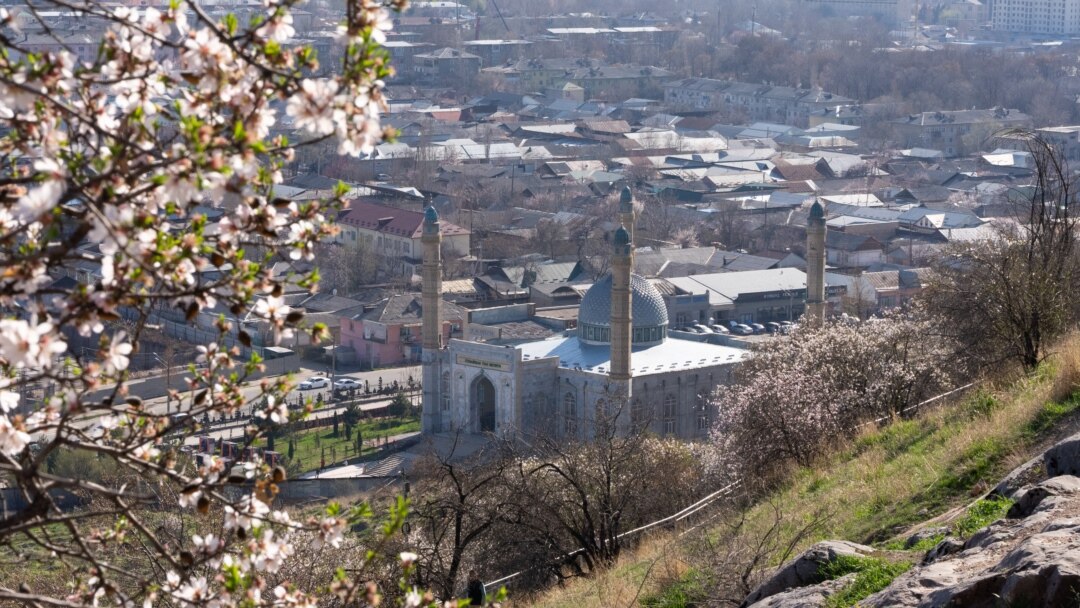 Жағажайдағы секс туралы бейне Холли Мари Комбстың жалған порно фотосуреттері