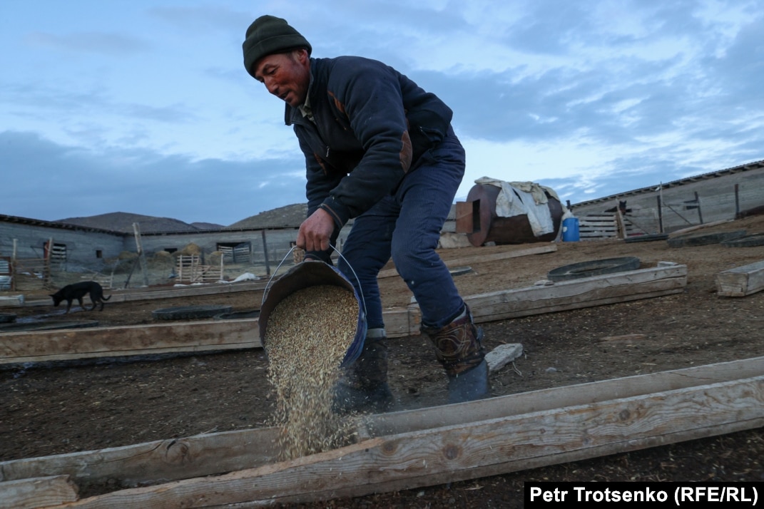 Жағажайдағы наруто секс