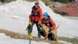 Bulgarian Mountain Rescue Dog Teams Rely Heavily On Volunteers 