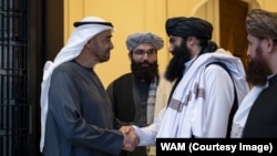دیدار امیر قطر با شماری از مقامات طالبان در دوحه