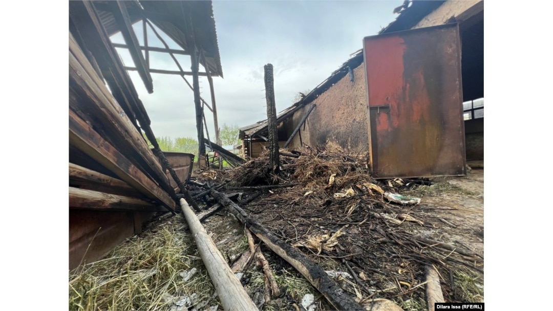 Үлкен сиськи бар толық аққұба