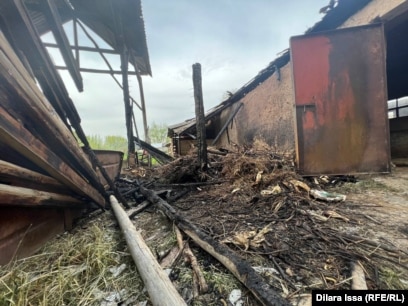 Шашты әйел порно фото Қысқа сексуалды клуб көйлектері kz