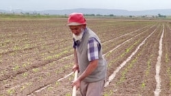 Засоление почв - очередная проблема для дехкан южного Таджикистана