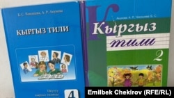 Иллюстрациялык сүрөт.